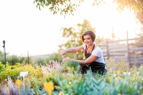 Healthy front lawn maintained in Southall garden