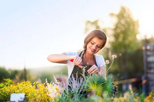 Seasonal lawn care treatment in a Southall property
