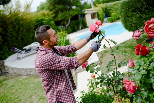 Illustration of a gardener complaint review process