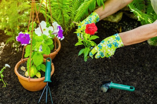Professional Southall gardening team focusing on long-term garden health