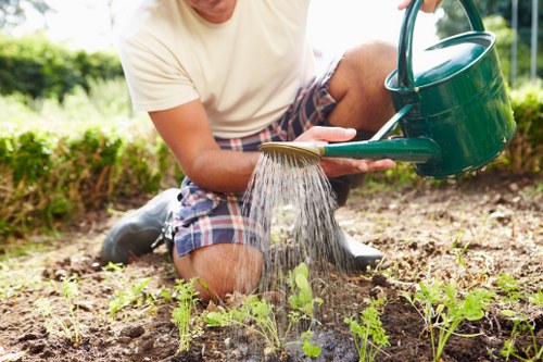Professional lawn mowing for a Southall property exterior