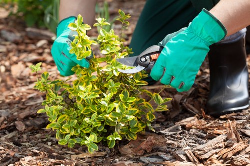 Garden safety procedures during outdoor maintenance work