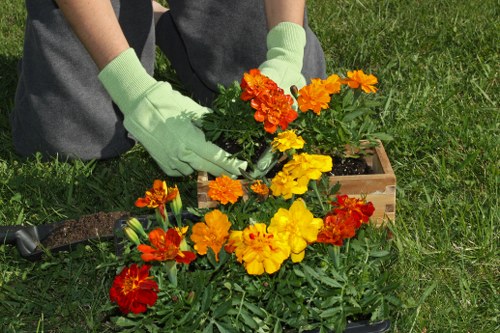 Image symbolizing escalation within a gardening complaints process