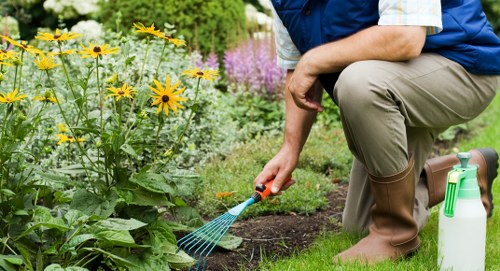 Southall gardening services improving a green outdoor space