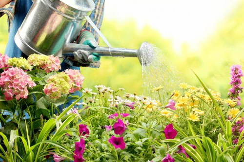 Southall patio cleaning treatment for weeds and algae on paving