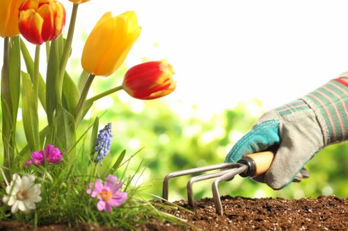 Free quote policy for Southall gardeners with clear, upfront pricing