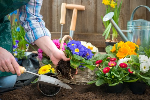 Stump grinding and tree removal services in Southall