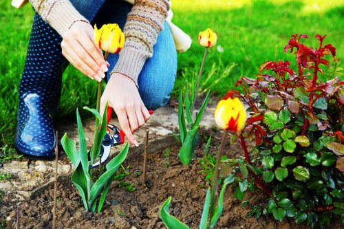 Professional Southall garden maintenance with hedge trimming and weeding