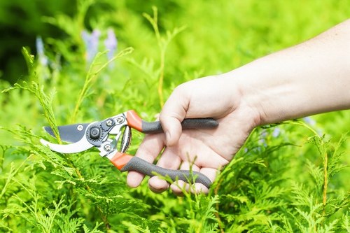 Accepted payment methods for secure garden service checkout
