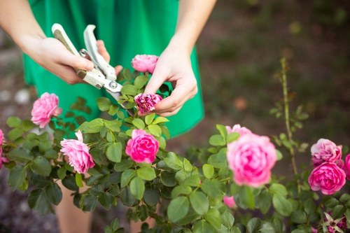 Payment and scheduling terms for garden maintenance