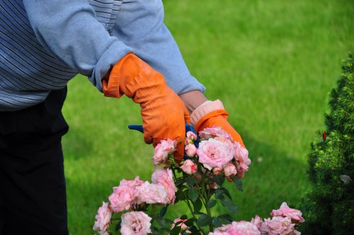 Professional mowing and edging for Southall turf