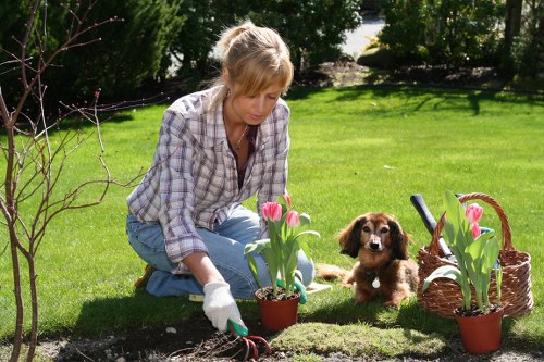 Image representing a gardening service concern being logged