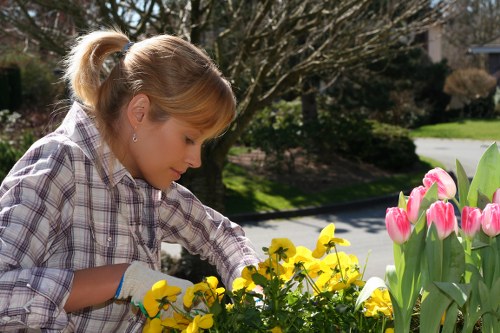 Professional Gardeners Southall following safety checks and protective procedures in a garden